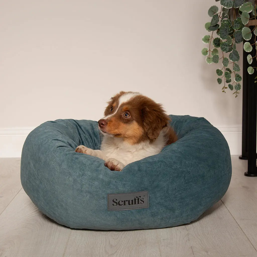 Oslo Ring Dog Bed (in Blush Pink, Desert Sand, Lake Teal or Stone Grey) by Scruffs - Memoriex