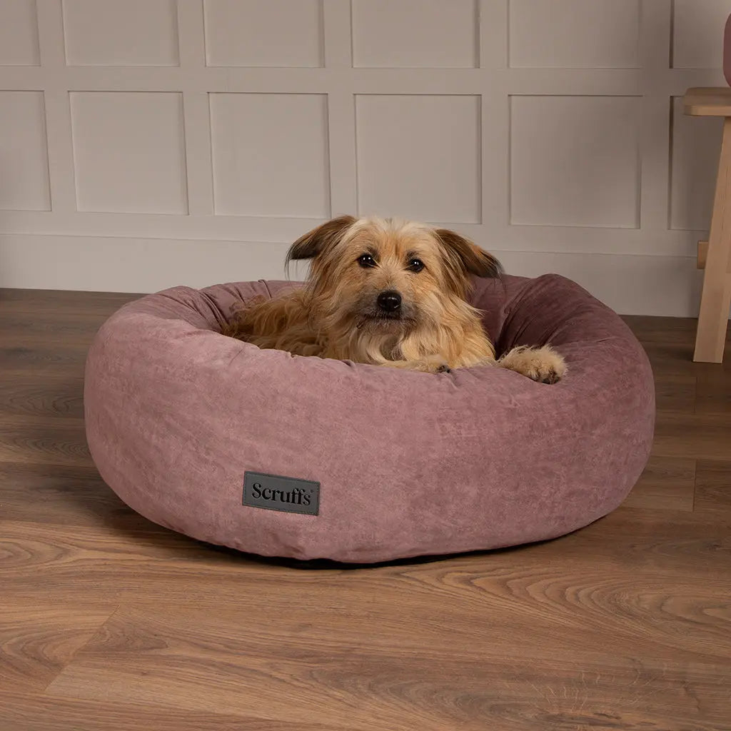 Oslo Ring Dog Bed (in Blush Pink, Desert Sand, Lake Teal or Stone Grey) by Scruffs - Memoriex