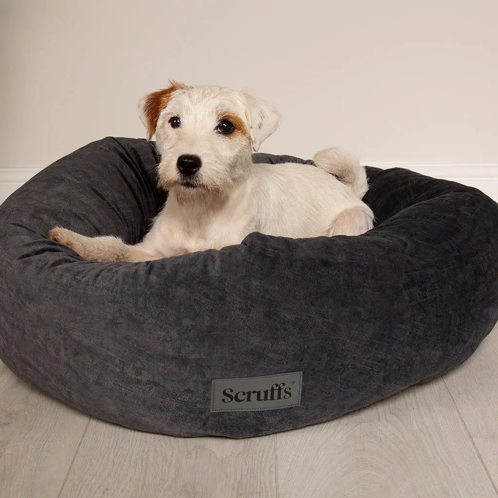 Oslo Ring Dog Bed (in Blush Pink, Desert Sand, Lake Teal or Stone Grey) by Scruffs - Memoriex