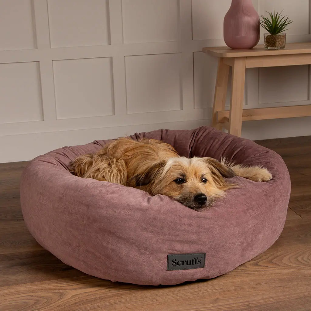 Oslo Ring Dog Bed (in Blush Pink, Desert Sand, Lake Teal or Stone Grey) by Scruffs - Memoriex