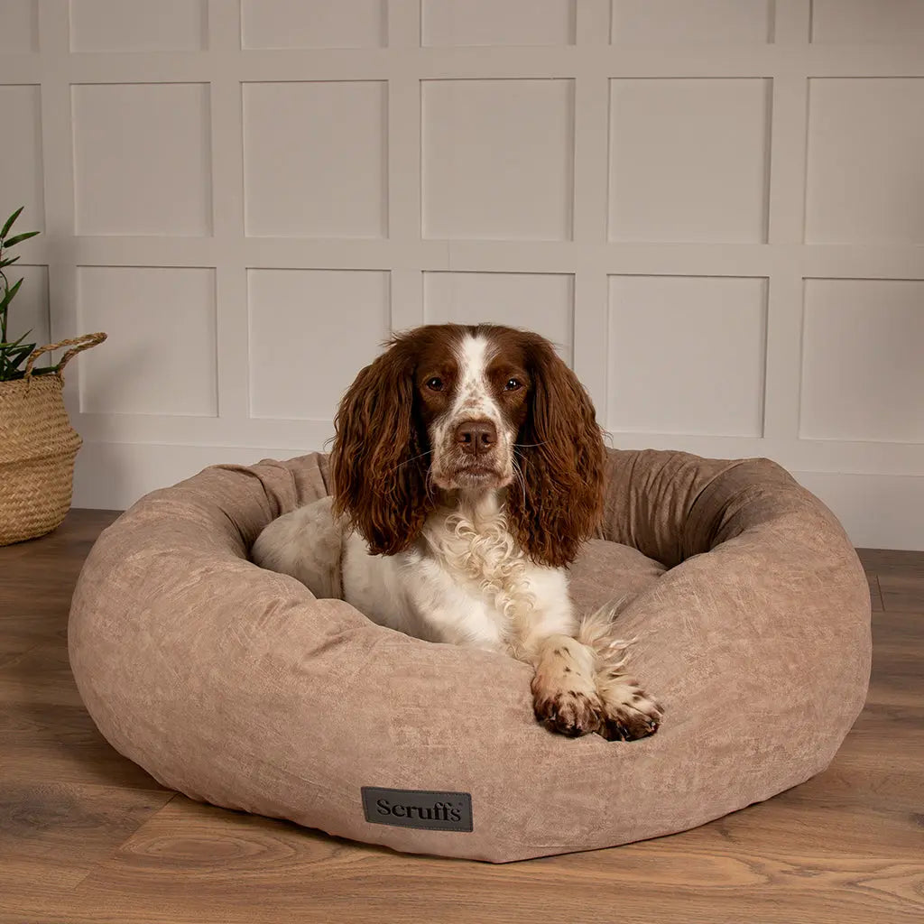 Oslo Ring Dog Bed (in Blush Pink, Desert Sand, Lake Teal or Stone Grey) by Scruffs - Memoriex