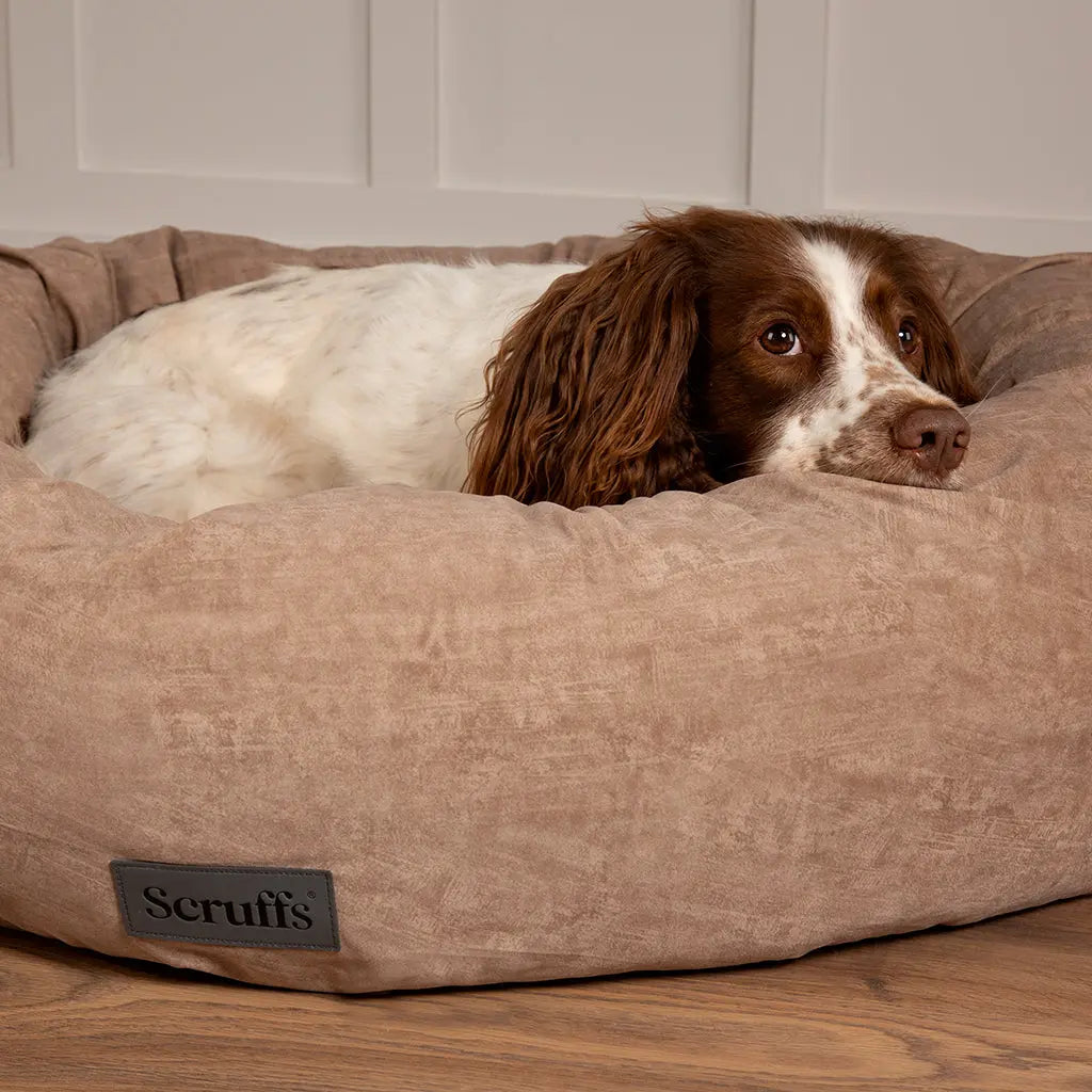 Oslo Ring Dog Bed (in Blush Pink, Desert Sand, Lake Teal or Stone Grey) by Scruffs - Memoriex