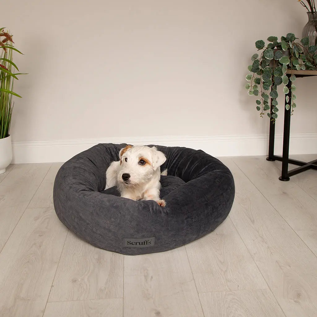 Oslo Ring Dog Bed (in Blush Pink, Desert Sand, Lake Teal or Stone Grey) by Scruffs - Memoriex