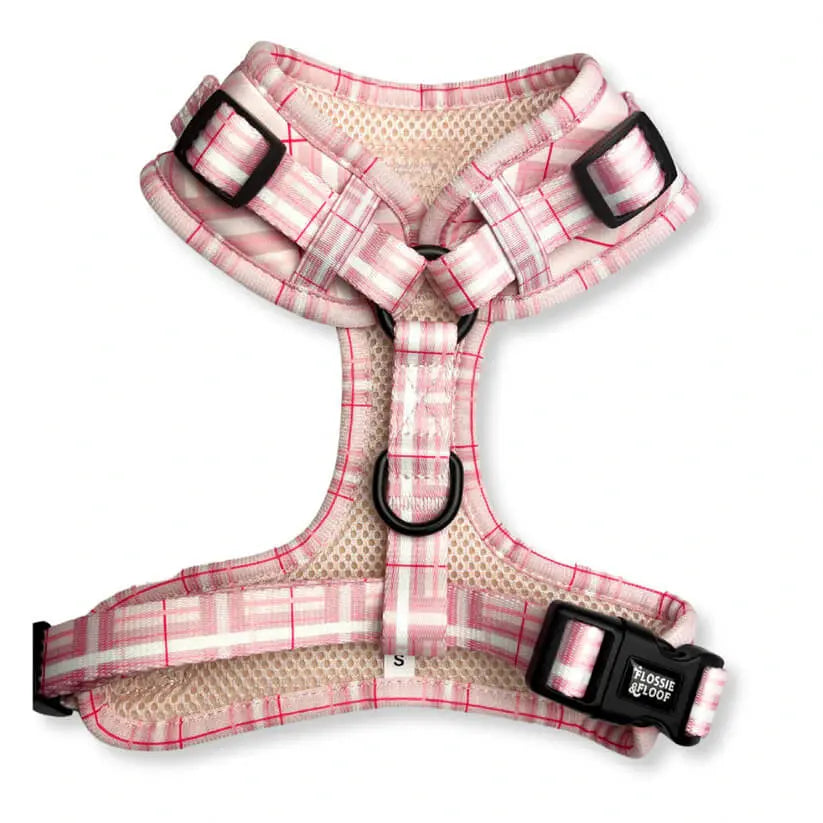 Oxford "Blush" Adjustable Dog Harness – by Flossie & Floof - Memoriex