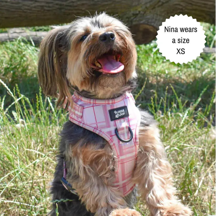 Oxford "Blush" Adjustable Dog Harness – by Flossie & Floof - Memoriex