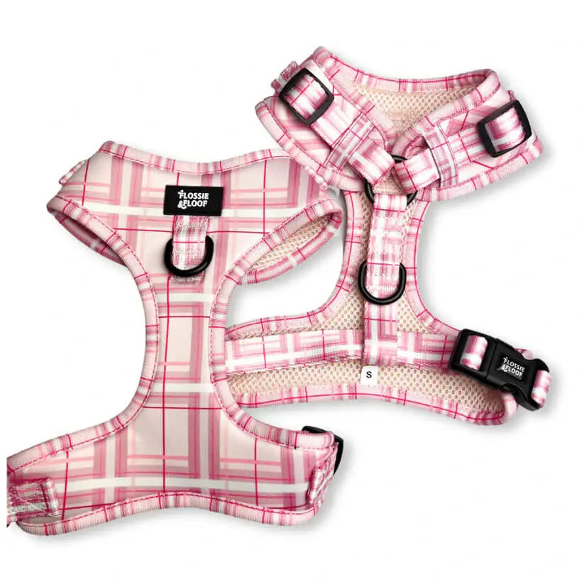 Oxford "Blush" Adjustable Dog Harness – by Flossie & Floof - Memoriex