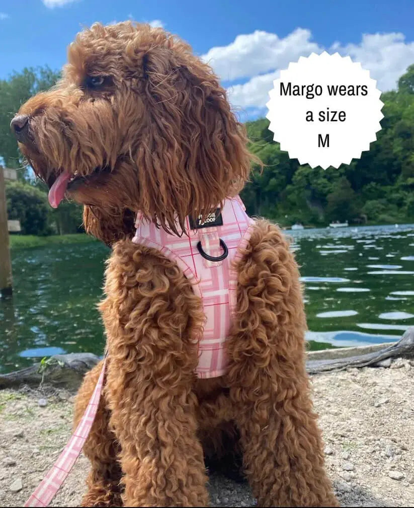 Oxford "Blush" Adjustable Dog Harness – by Flossie & Floof - Memoriex