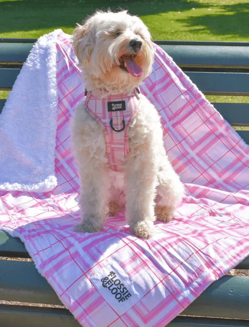 Oxford "Blush" Dog Blanket – by Flossie & Floof - Memoriex