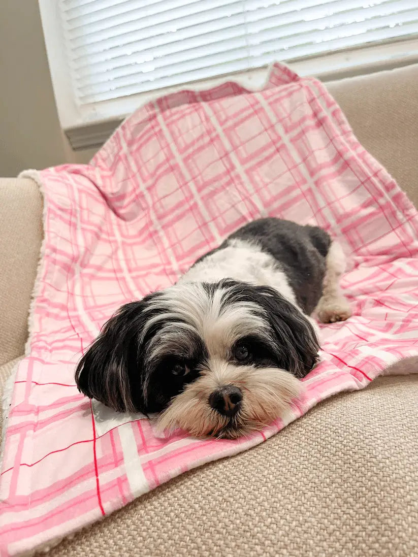 Oxford "Blush" Dog Blanket – by Flossie & Floof - Memoriex