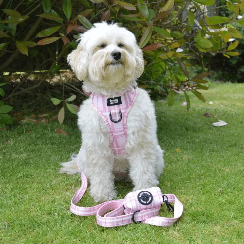 Oxford "Blush" Dog Lead – by Flossie & Floof - Memoriex