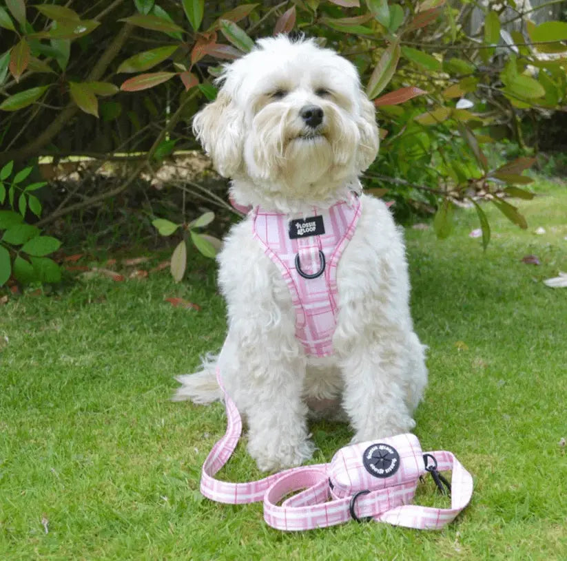 Oxford "Blush" Dog Poop Bag Holder – by Flossie & Floof - Memoriex