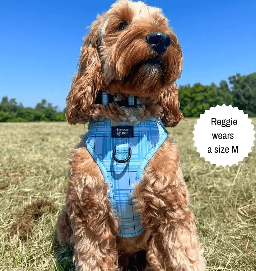 Oxford "Oasis" Adjustable Dog Harness – by Flossie & Floof - Memoriex