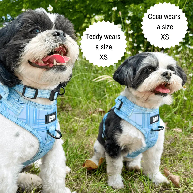 Oxford "Oasis" Adjustable Dog Harness – by Flossie & Floof - Memoriex