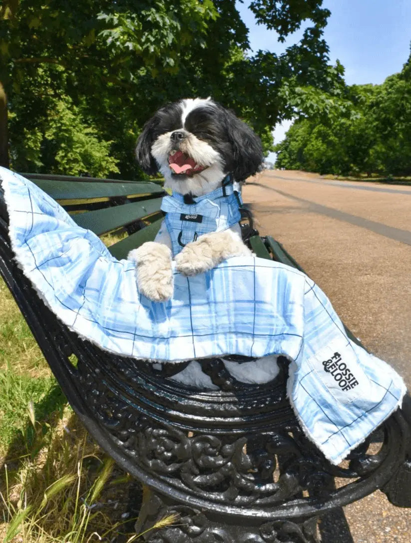 Oxford "Oasis" Dog Blanket – by Flossie & Floof - Memoriex