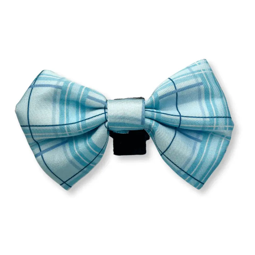 Oxford "Oasis" Dog Bow Tie – by Flossie & Floof - Memoriex