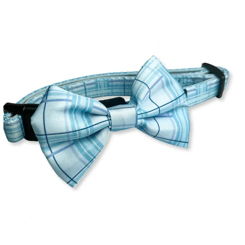 Oxford "Oasis" Dog Bow Tie – by Flossie & Floof - Memoriex