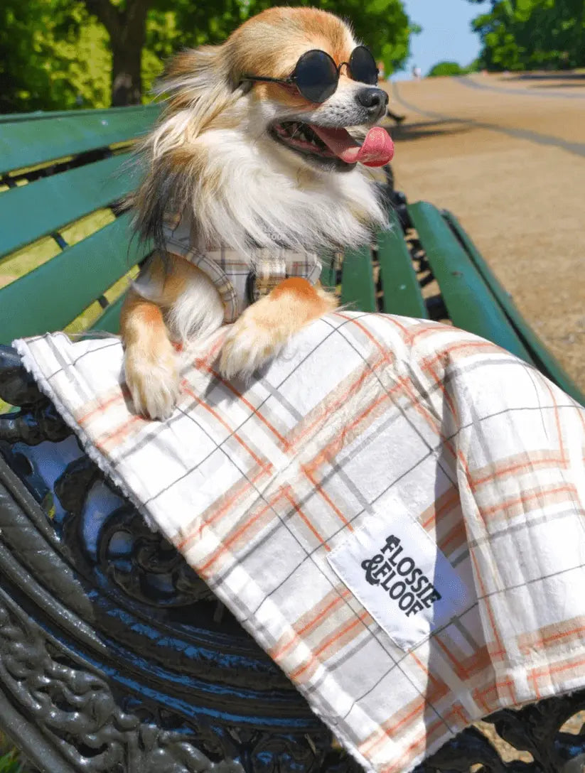 Oxford "Sand" Dog Blanket – by Flossie & Floof - Memoriex