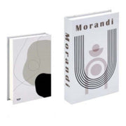 Photography Prop Decoration Simple Decorative Book Soft Sample Style True And False Book - Memoriex 