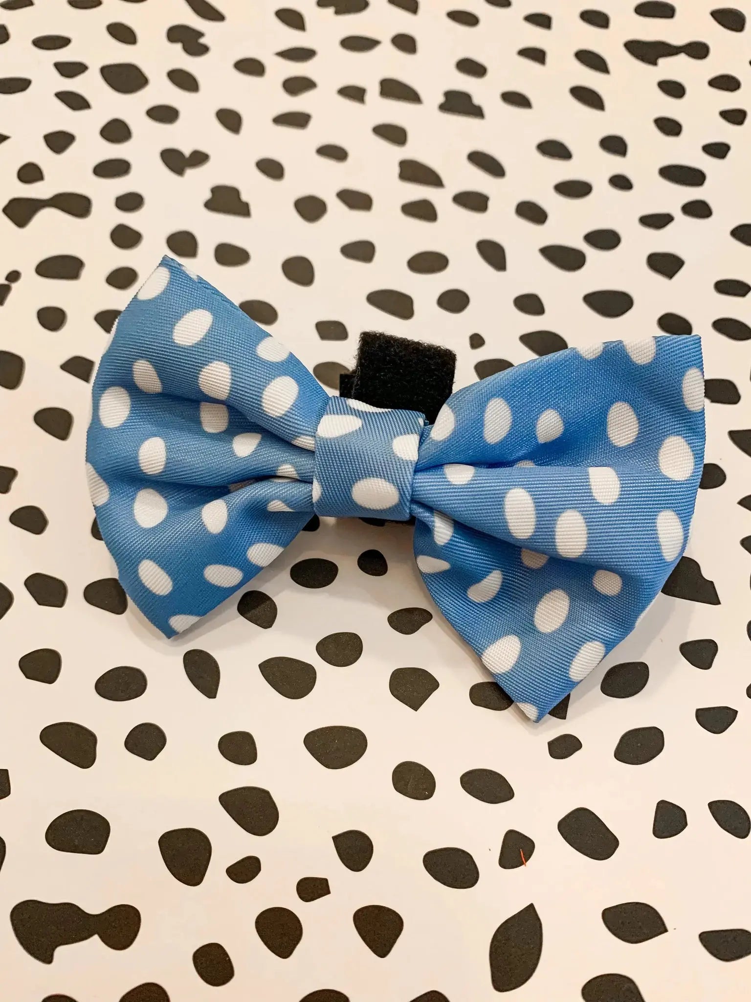 Polka Pups Set (Blue) by iWoofYouBoutique - Memoriex