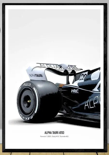 Poster Formel 1 Rennwagen Grand Prix Rennfahrer Namen Wagen Nummer I  Deko Print ohne Rahmen-4