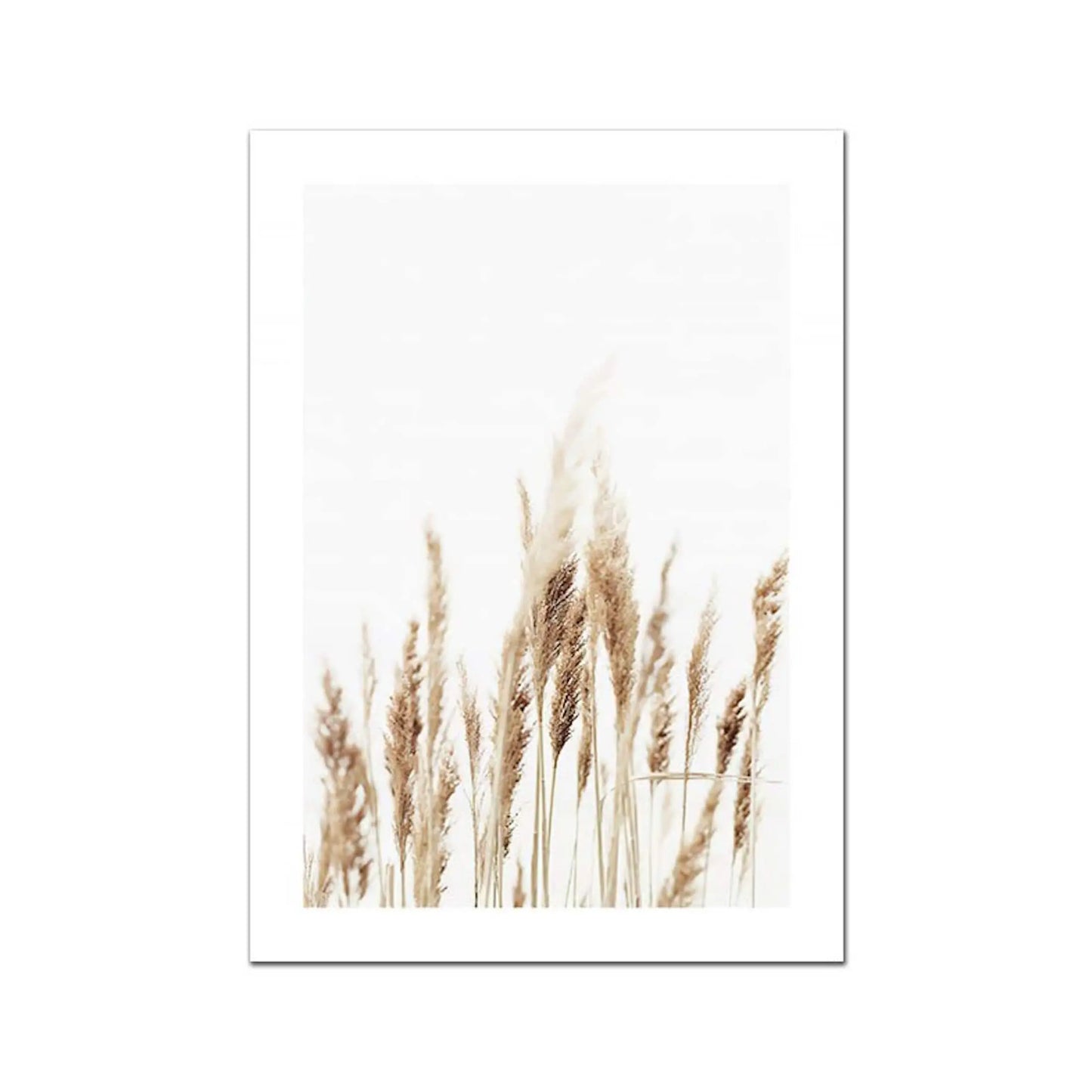 Poster Sonnenaufgang am Strand Muscheln und Pampas Gras als Deko Print ohne Rahmen-2