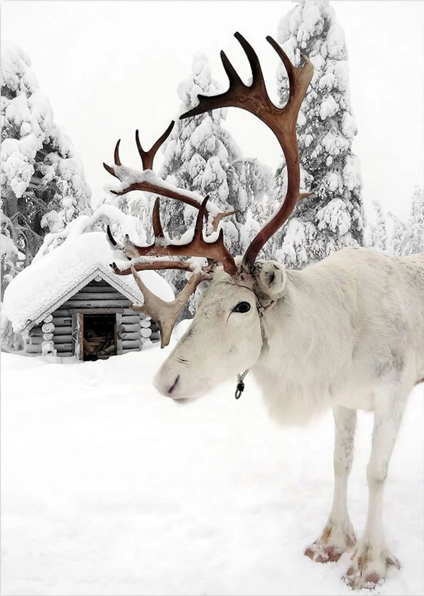 Poster Winter Holz Hütte im Schnee Rentier Tannenzapfen | Bilder Wohnzimmer | Wandbilder Schlafzimmer | Deko Print ohne Rahmen | Bilder Set-4