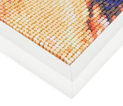 Pushpin painting, pins painting, DIY Custom photo puzzles, creative portrait handmade - Memoriex 