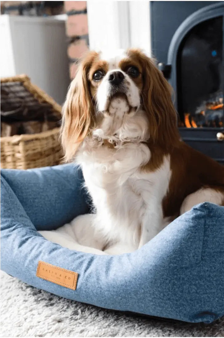 “Rayleigh” Chenille Nest Dog Bed – by Ralph & Co - Memoriex