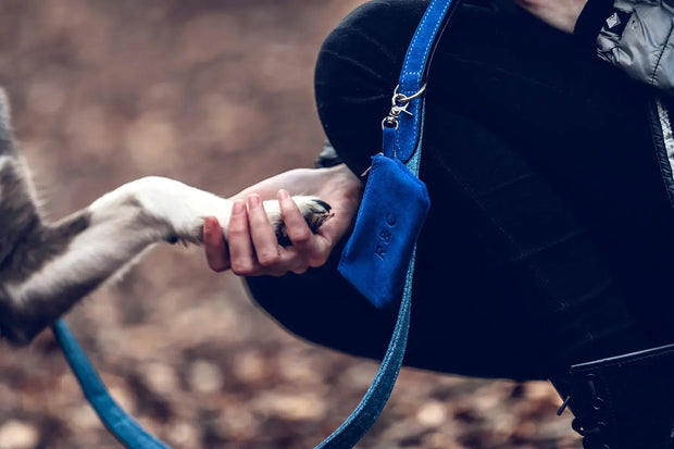 “Rayleigh” Dog Poo Bag Holder – by Ralph & Co - Memoriex 