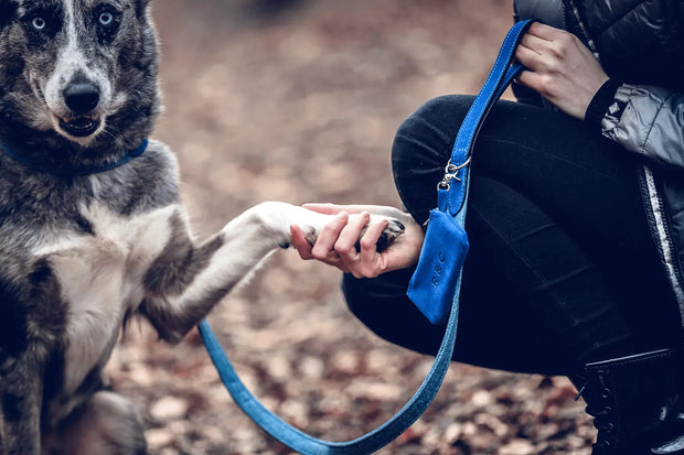 “Rayleigh” Fabric & Leather Dog Lead – by Ralph & Co - Memoriex 