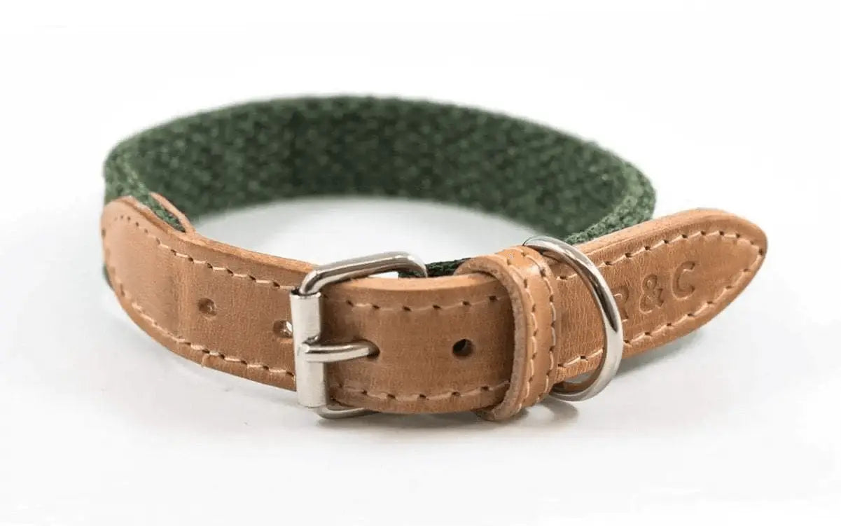 “Richmond” Fabric & Leather Dog Collar – by Ralph & Co - Memoriex