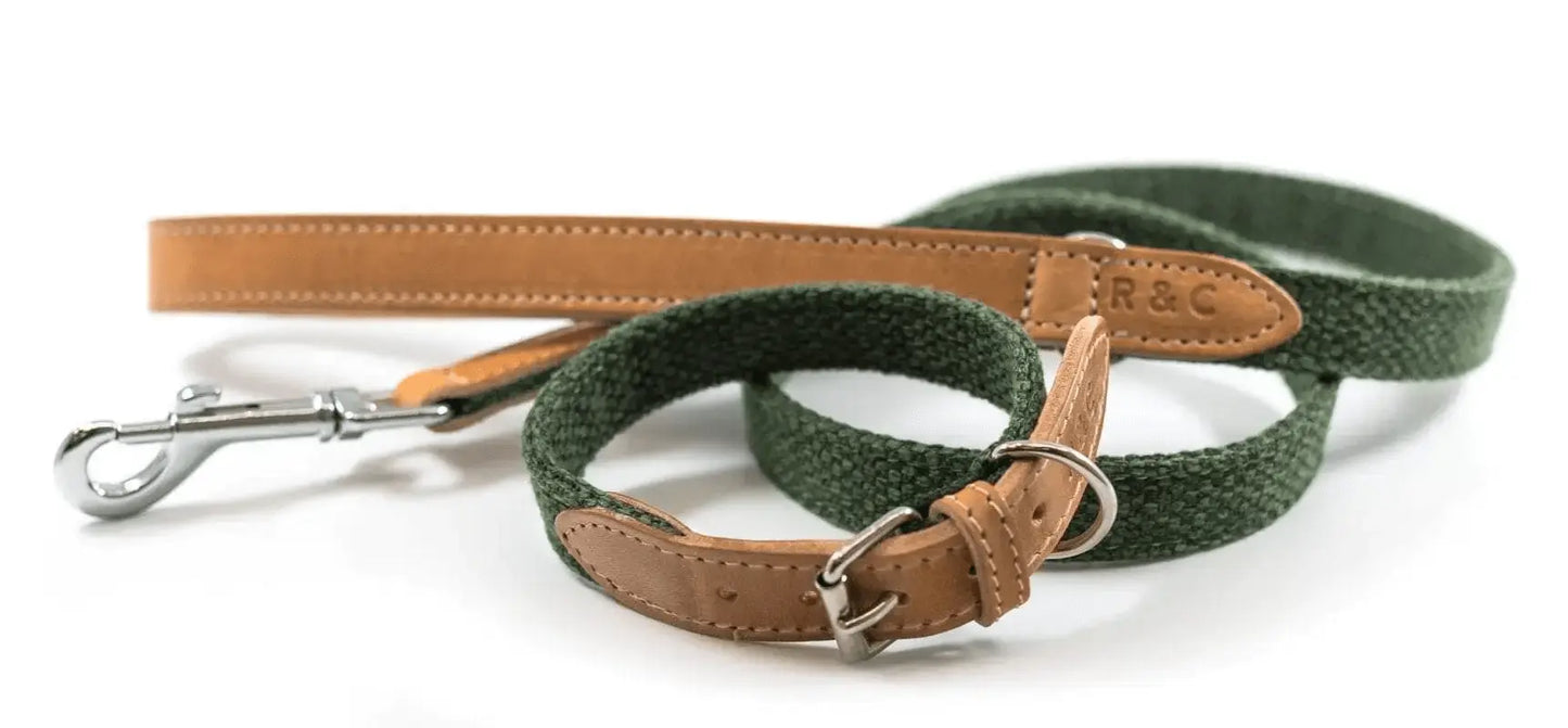 “Richmond” Fabric & Leather Dog Collar – by Ralph & Co - Memoriex