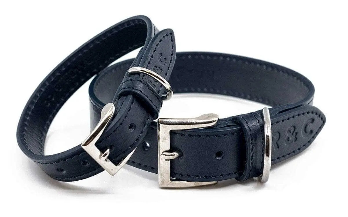 “Rimini” Italian Leather Dog Collar – by Ralph & Co - Memoriex