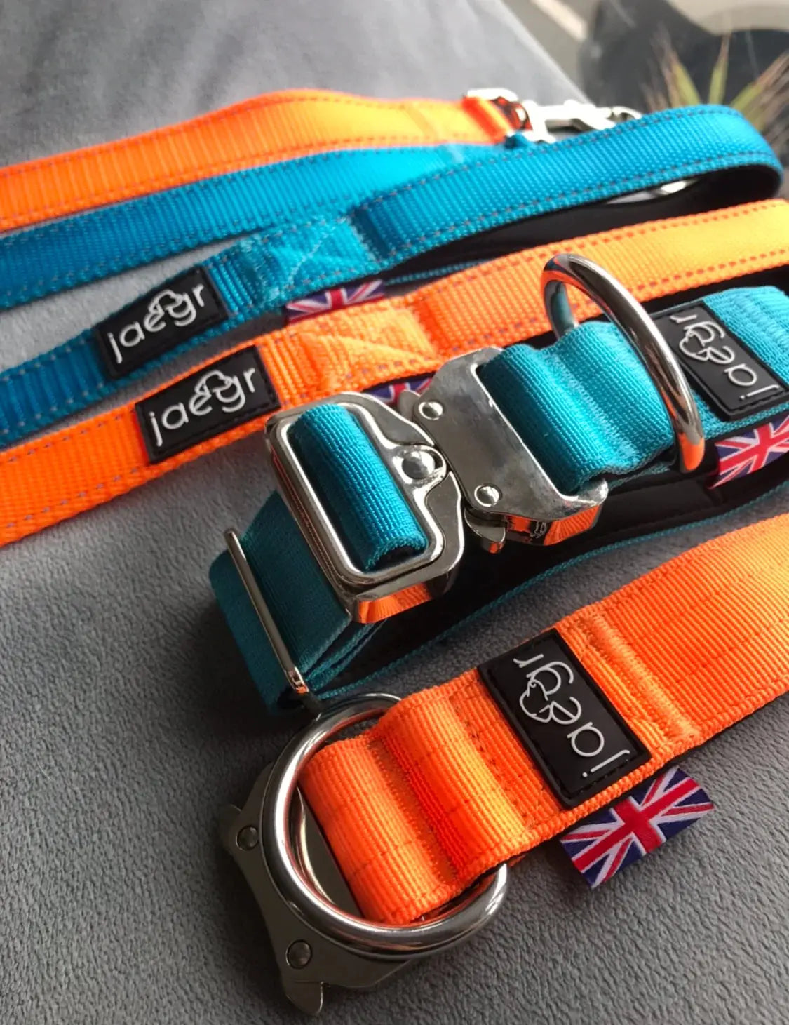 Robust Set (Dog Collar & Dog Lead Set) - by Jaegr Dogwear - Memoriex