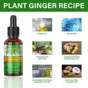 Rosemary Hair Essential Oil Gentle Scalp Care Soft Shine Natural Fluffy Hair Essential Oil - Memoriex 