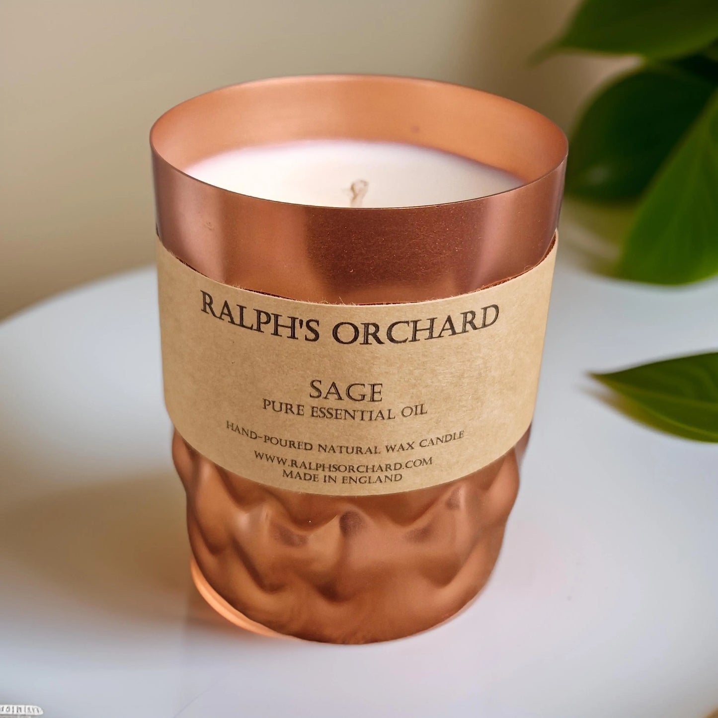 Sage Purification Candle-5