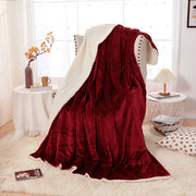 Sherpa Lambswool Thickened Double Layer Flannel Blanket - Memoriex 