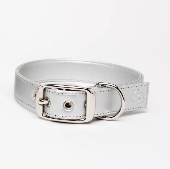 Silver Dog Collar (Vegan Apple Leather) – by Skylos Collective - Memoriex