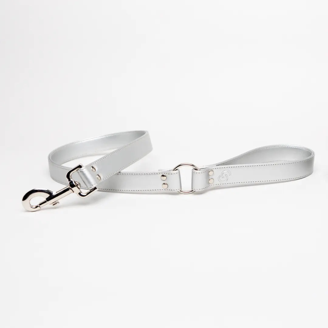 Silver Dog Lead (Vegan Apple Leather) – by Skylos Collective - Memoriex