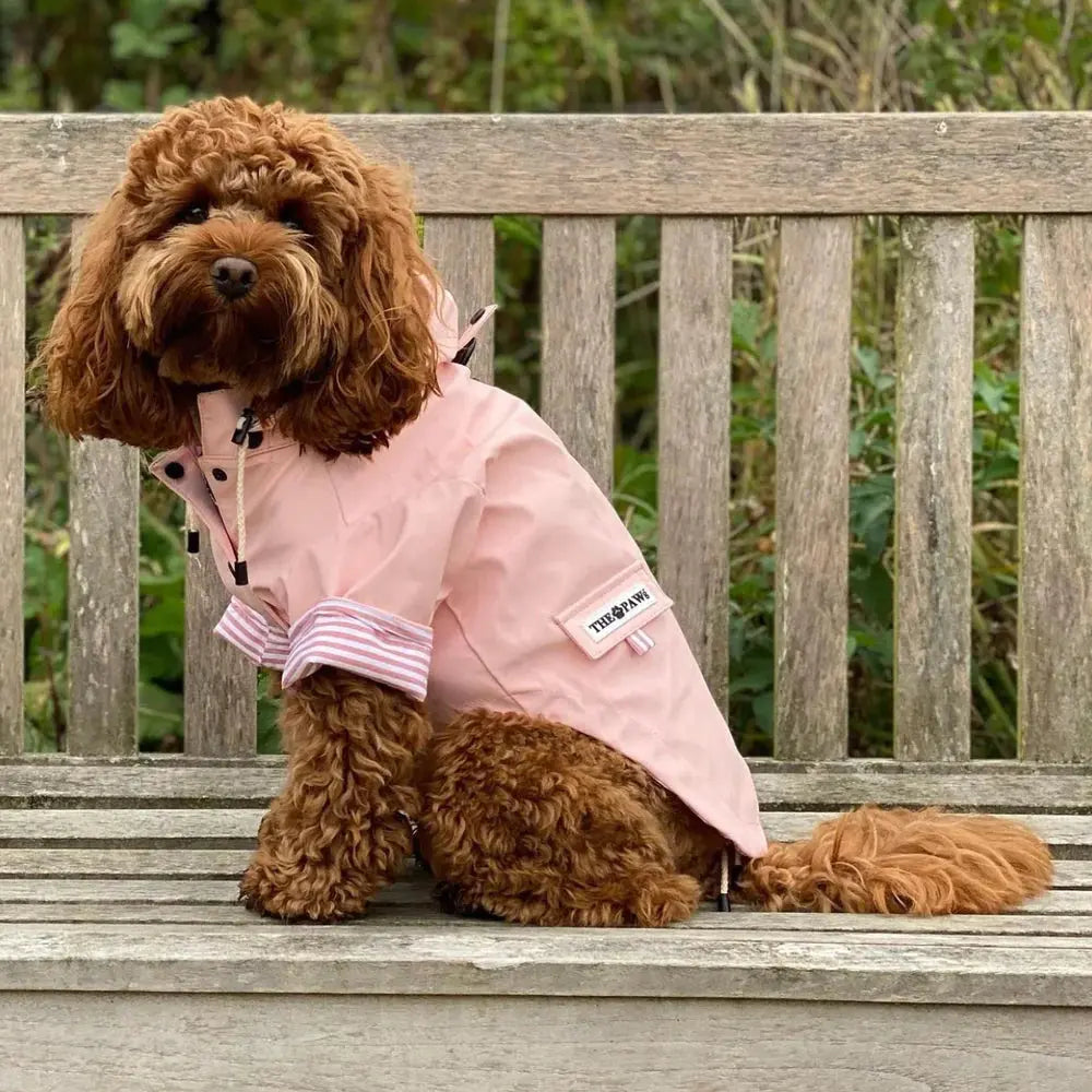 Sloane Waterproof Dog Rain Jacket (Blush) – by The Paw Co. - Memoriex