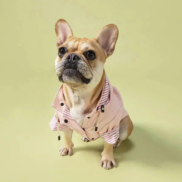 Sloane Waterproof Dog Rain Jacket (Blush) – by The Paw Co. - Memoriex