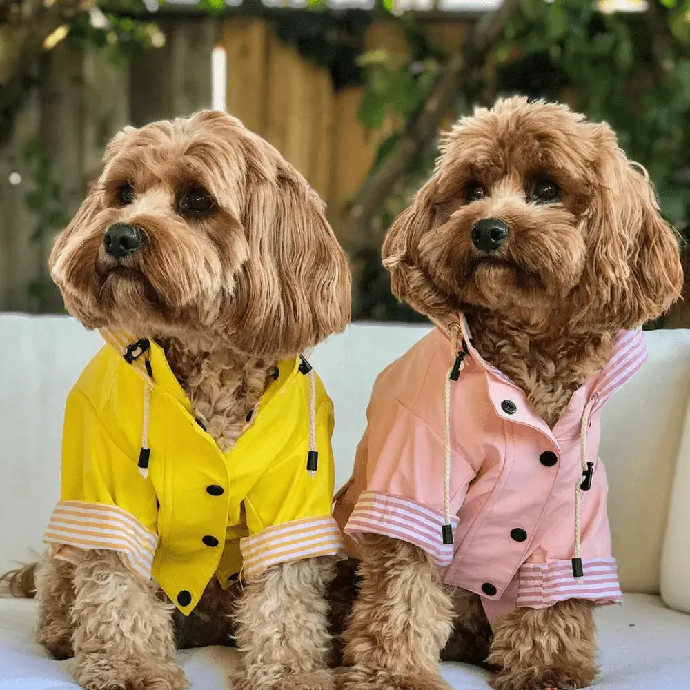 Sloane Waterproof Dog Rain Jacket (Lemon) – by The Paw Co. - Memoriex