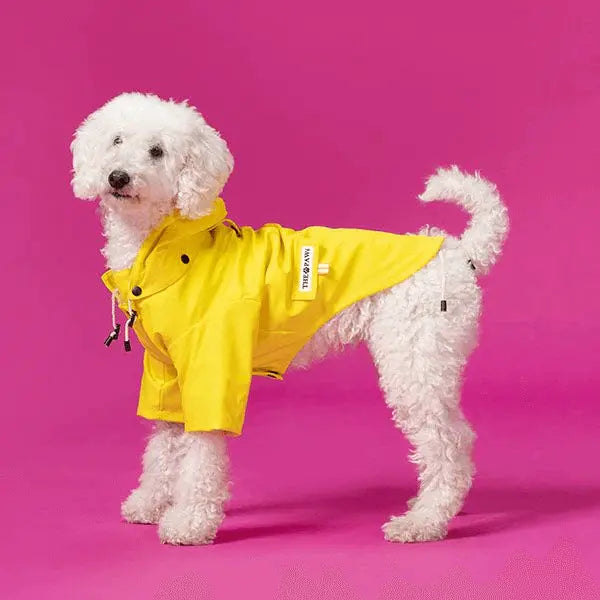 Sloane Waterproof Dog Rain Jacket (Lemon) – by The Paw Co. - Memoriex