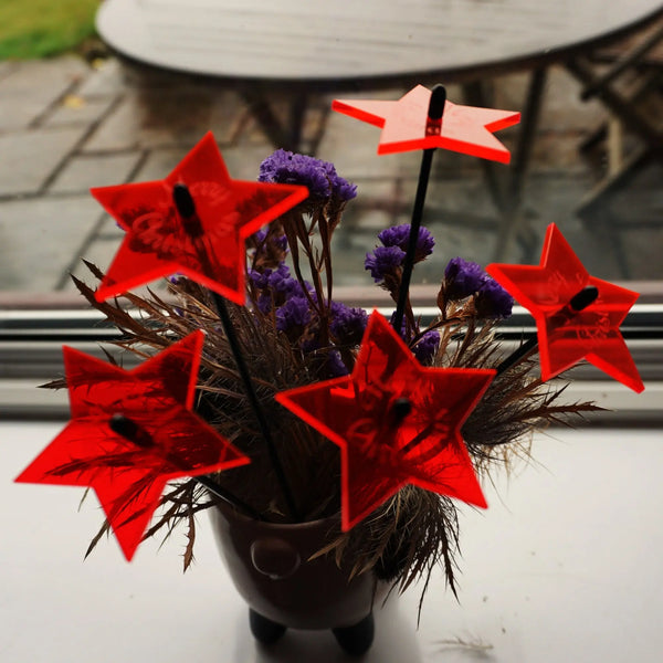 Small Set of 5 Shining Stars with Merry Christmas Message-0
