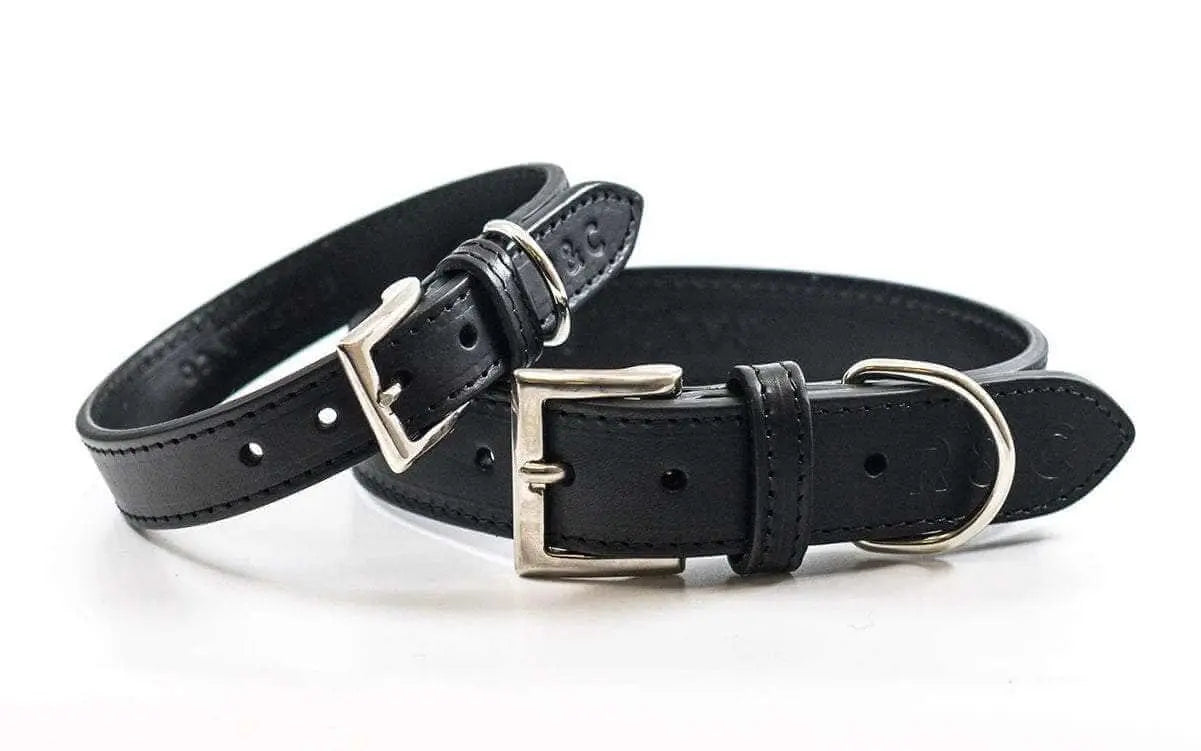 “Sorrento” Italian Leather Dog Collar – by Ralph & Co - Memoriex