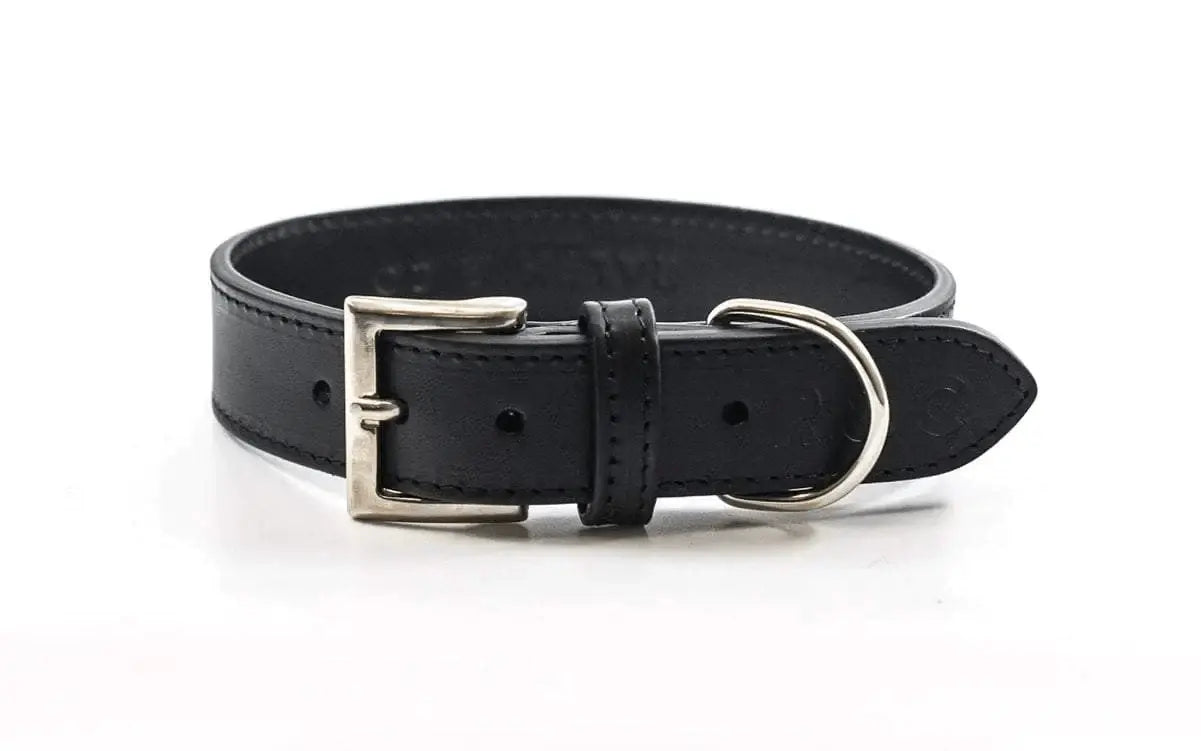 “Sorrento” Italian Leather Dog Collar – by Ralph & Co - Memoriex