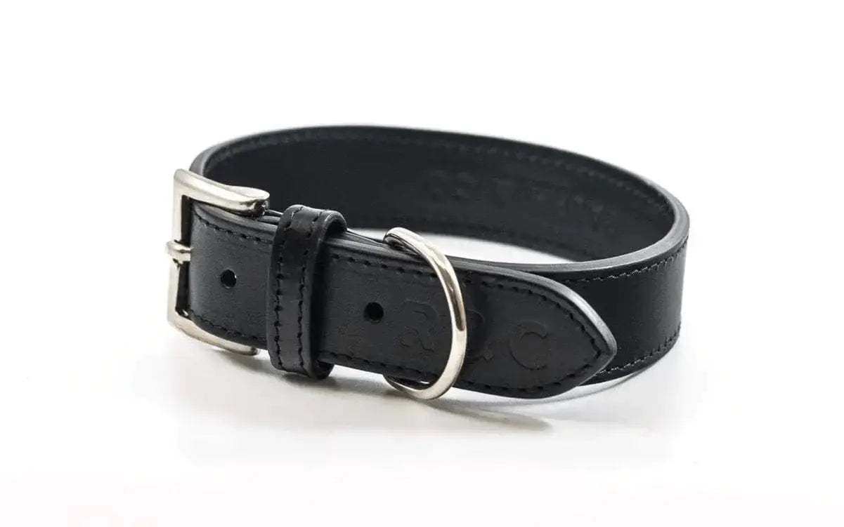 “Sorrento” Italian Leather Dog Collar – by Ralph & Co - Memoriex