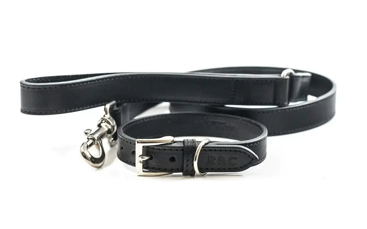 “Sorrento” Italian Leather Dog Collar – by Ralph & Co - Memoriex