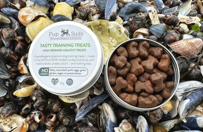 Tasty Training Treats & Reusable Tin by Pup Suds - Memoriex