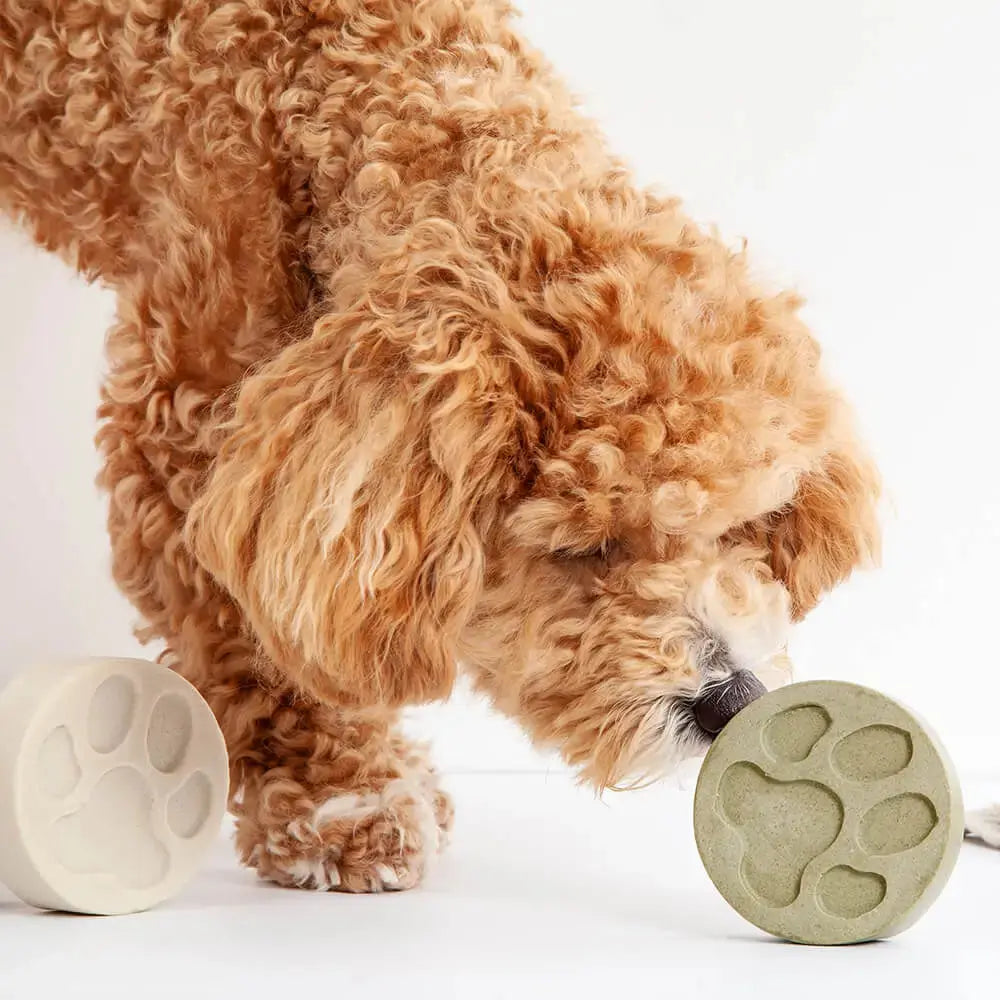 The Dog One - Shampoo Bar Neem & Lavender - Memoriex 